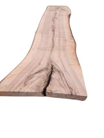 5/4 Live Edge Shag Bark Hickory Slab